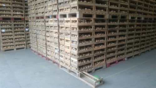 pallets spaced out in sheds