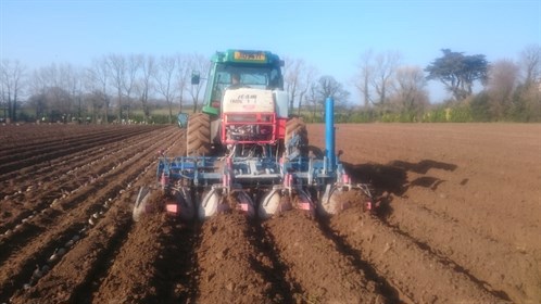 covering seed beds