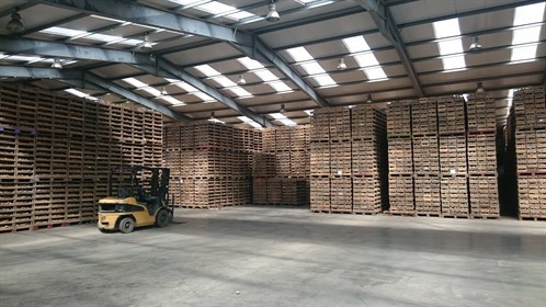 stored pallets