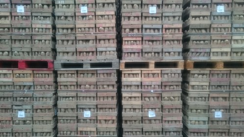 Stacked pallets of seed